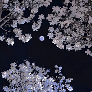 欧美夫妻生活网
