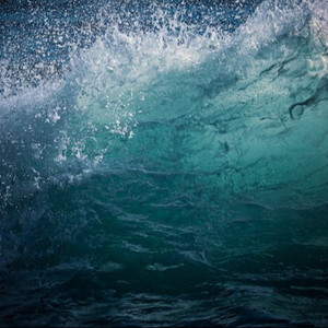 欧美夫妻生活网
