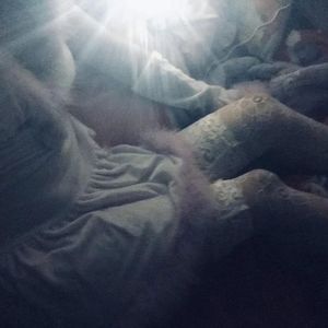 欧美夫妻生活网
